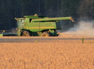 La soya boliviana pierde terreno por la sequía y la falta de infraestructura