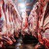 Productores bolivianos denuncian millonarias pérdidas por restricciones a exportaciones