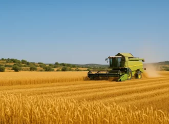 Cosecha de verano alcanza el 77% pese a escasez de insumos y restricciones al agro
