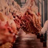 Exportación de carne bovina boliviana sube 41% con China como mayor mercado