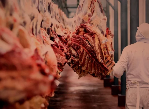 Exportación de carne bovina boliviana sube 41% con China como mayor mercado