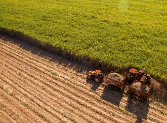 Desabastecimiento de diésel amenaza motores productivos de Bolivia