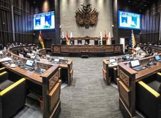 Senado aprueba préstamos externos en busca de alivio a la crisis económica