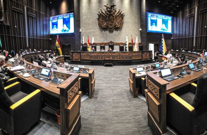 Senado aprueba préstamos externos en busca de alivio a la crisis económica