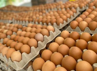 Crisis silenciosa: el contrabando de alimentos desde Bolivia gana terreno en Sudamérica