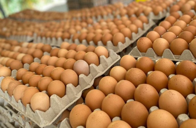 Crisis silenciosa: el contrabando de alimentos desde Bolivia gana terreno en Sudamérica
