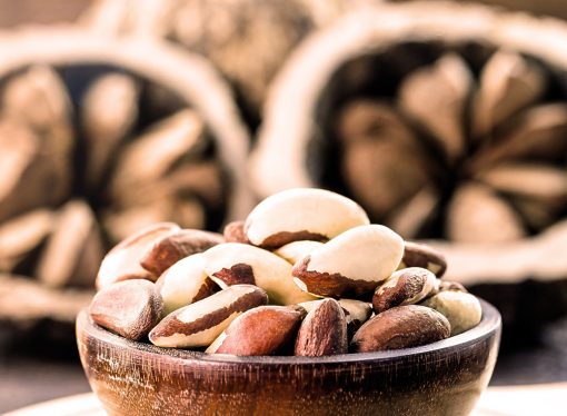 Cacao, café y castaña impulsan nuevo impulso agroexportador en Bolivia