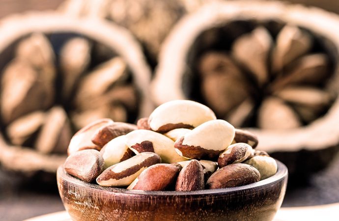 Cacao, café y castaña impulsan nuevo impulso agroexportador en Bolivia