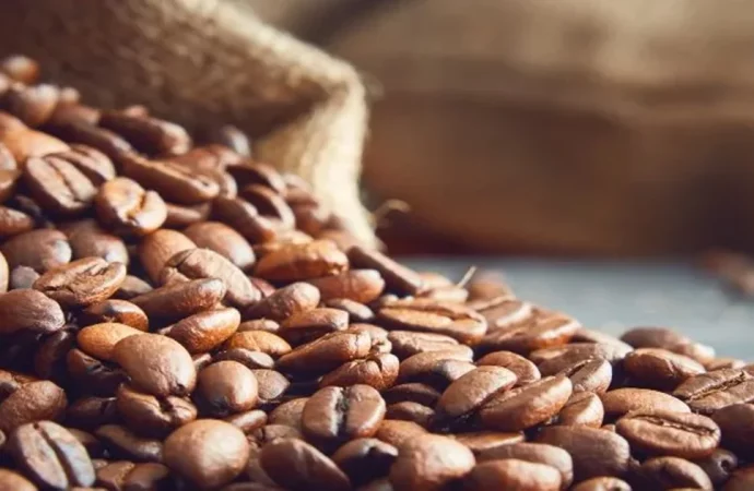 Café boliviano comienza a consolidarse en mercados de alta demanda mundial