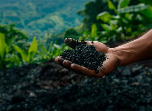 Biochar: la nueva apuesta boliviana que une productividad agrícola y créditos de carbono