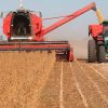 Agroindustria en alerta: paralización productiva y presión inflacionaria por falta de diésel