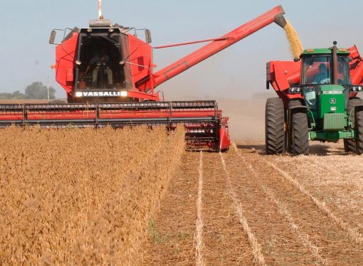 Agroindustria en alerta: paralización productiva y presión inflacionaria por falta de diésel