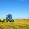 Gobierno impulsa expansión de agroindustria: dos plantas cárnicas en Beni en camino