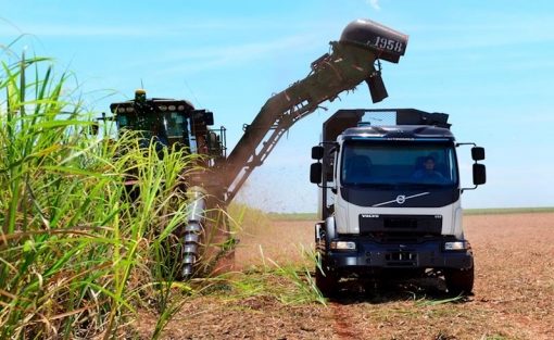 Concabol advierte crisis en el sector cañero por incumplimientos de YPFB