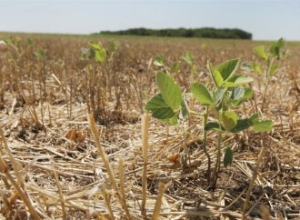Calor extremo pone en riesgo la productividad y el crecimiento económico