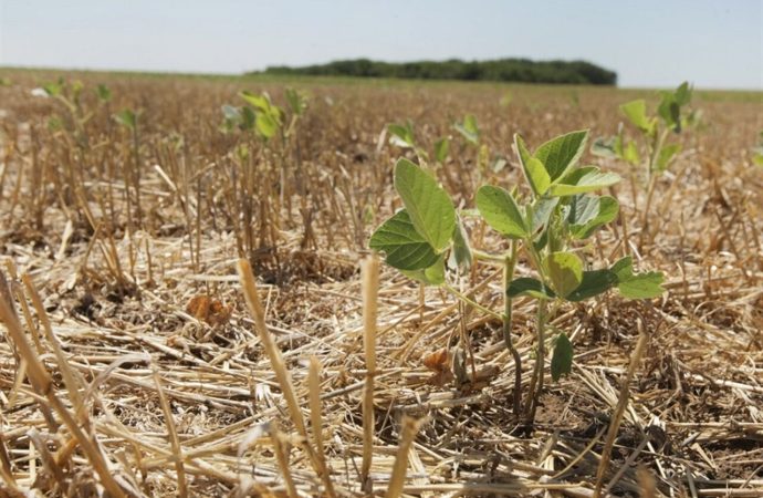 Calor extremo pone en riesgo la productividad y el crecimiento económico