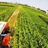 Sectores productivos bolivianos exigen rumbo económico claro ante transición gubernamental