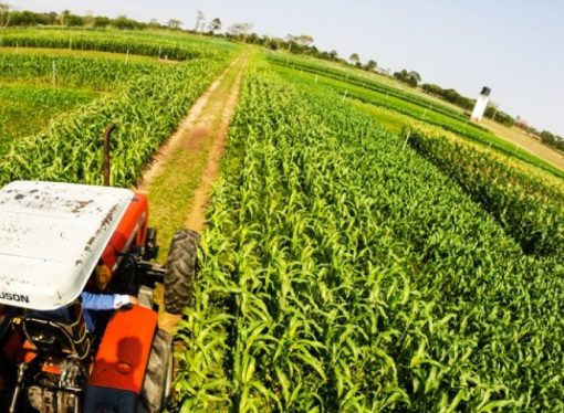 Sectores productivos bolivianos exigen rumbo económico claro ante transición gubernamental