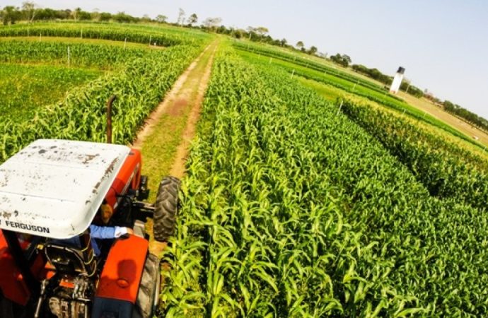 Sectores productivos bolivianos exigen rumbo económico claro ante transición gubernamental