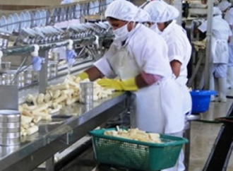 Debate sobre libre exportación alimentaria en Bolivia: ¿riesgo real o advertencia política?