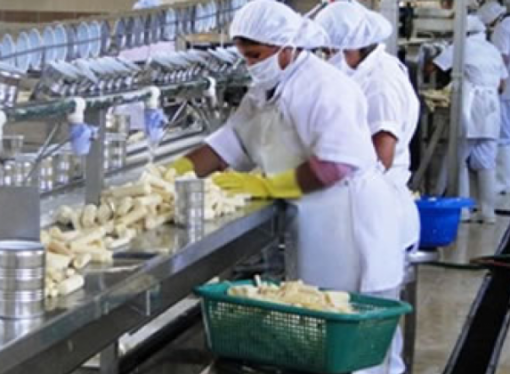 Debate sobre libre exportación alimentaria en Bolivia: ¿riesgo real o advertencia política?