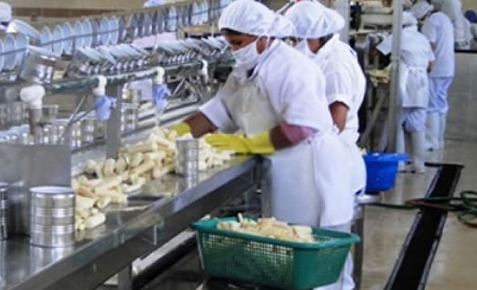 Debate sobre libre exportación alimentaria en Bolivia: ¿riesgo real o advertencia política?