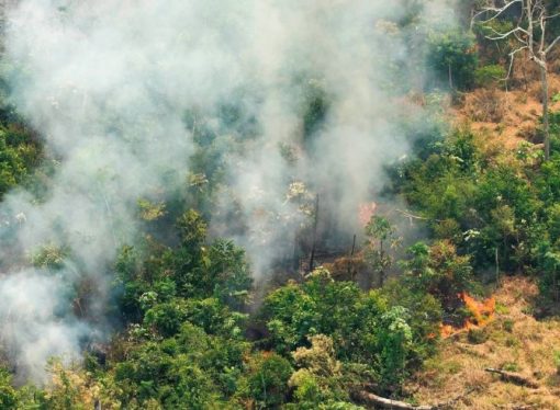 Coordinación público-privada boliviana refuerza la lucha contra la crisis ambiental