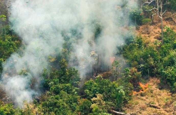 Coordinación público-privada boliviana refuerza la lucha contra la crisis ambiental
