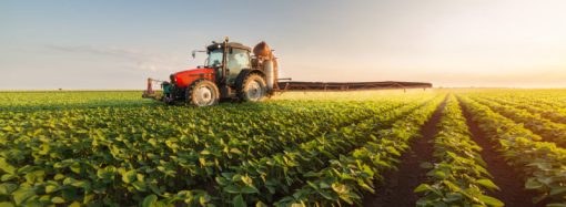 La tierra vuelve al debate económico mientras el agro exige certezas para invertir, producir y crecer