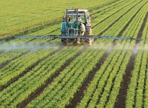 La CAO marca el rumbo: reclamo por reglas claras, tecnología y exportación en el campo boliviano