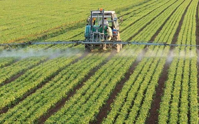 La CAO marca el rumbo: reclamo por reglas claras, tecnología y exportación en el campo boliviano