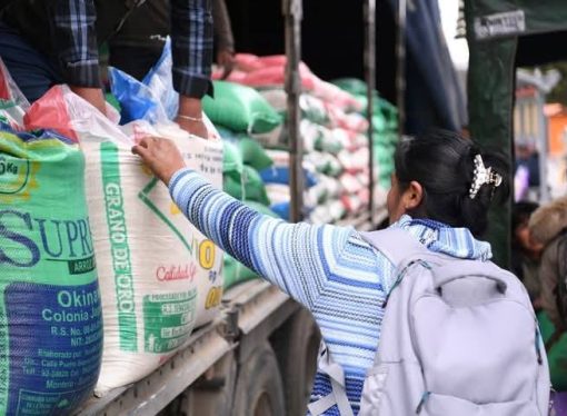 Bolivia bajo asedio de arroz ilegal: implicaciones económicas y sanitarias de un descontrol fronterizo