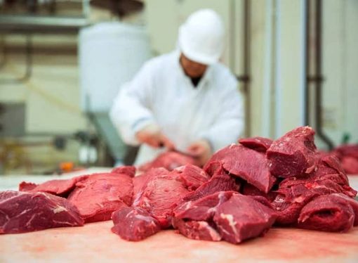Bolivia se prepara para cuadruplicar sus exportaciones de carne bovina tras apertura comercial con Egipto