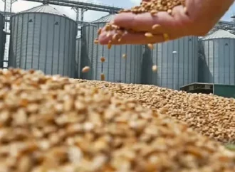 Liberación plena de exportaciones: productores piden certidumbre para expandir frontera agrícola