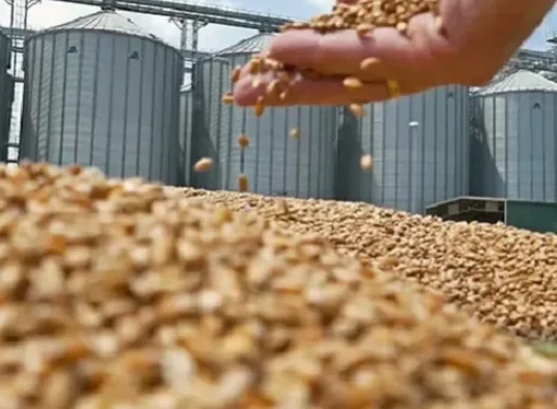 Liberación plena de exportaciones: productores piden certidumbre para expandir frontera agrícola