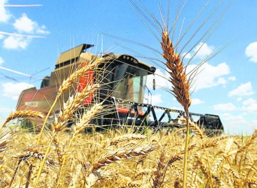 Bolivia impulsa al agro con cuatro ejes estratégicos para mejorar competitividad y producción en 2026