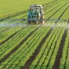 Cooperación agrícola EE. UU.-Bolivia: el sector agropecuario en el centro del diálogo económico internacional