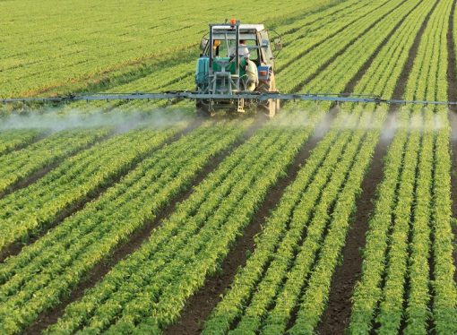 Cooperación agrícola EE. UU.-Bolivia: el sector agropecuario en el centro del diálogo económico internacional