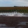 Clima amenaza el ritmo de la mayor cosecha de granos en Santa Cruz y preocupa al sector agroindustrial