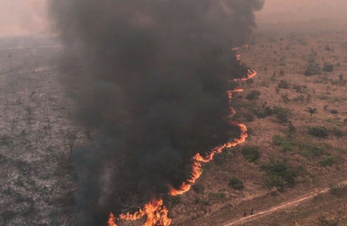 La industria boliviana enciende alarmas por un fenómeno que nadie puede controlar